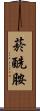 菸酰胺 Scroll