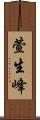 萱生峰 Scroll
