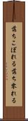 落ちこぼれる Scroll