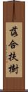 落合扶樹 Scroll