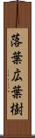 落葉広葉樹 Scroll