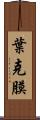 葉克膜 Scroll