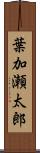 葉加瀬太郎 Scroll