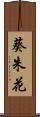 葵朱花 Scroll