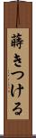 蒔きつける Scroll