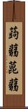 蒟蒻 Scroll