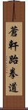 Ch\\\'ang Hon Taekwondo Scroll