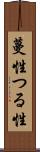 蔓性 Scroll