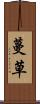 蔓草 Scroll