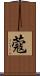 蔻 Scroll