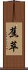 蕉萃 Scroll