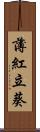 薄紅立葵 Scroll