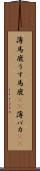 薄馬鹿 Scroll