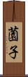 薗子 Scroll