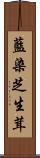 藍染芝生茸 Scroll