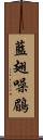 藍翅噪鶥 Scroll