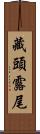 藏頭露尾 Scroll