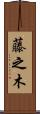 藤之木 Scroll