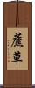 藨草 Scroll