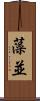 藻並 Scroll