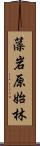 藻岩原始林 Scroll