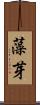 藻芽 Scroll