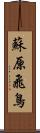 蘇原飛鳥 Scroll