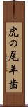 虎の尾羊歯 Scroll