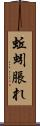 蚯蚓脹れ Scroll