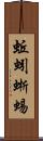 蚯蚓蜥蜴 Scroll