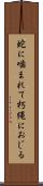 蛇に噛まれて朽縄におじる Scroll