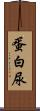 蛋白尿 Scroll