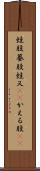 蛙股 Scroll