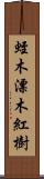 蛭木 Scroll