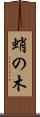 蛸の木 Scroll