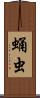 蛹虫 Scroll
