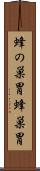 蜂の巣胃 Scroll