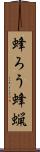 蜂ろう Scroll