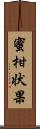 蜜柑状果 Scroll