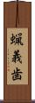 蝋義歯 Scroll