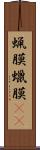蝋膜 Scroll