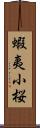 蝦夷小桜 Scroll