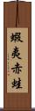 蝦夷赤蛙 Scroll