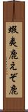 蝦夷鹿 Scroll
