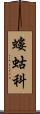 螻蛄科 Scroll