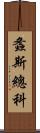 螽斯總科 Scroll