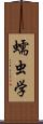 蠕虫学 Scroll