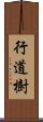 行道樹 Scroll