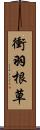 衝羽根草 Scroll