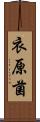 衣原菌 Scroll